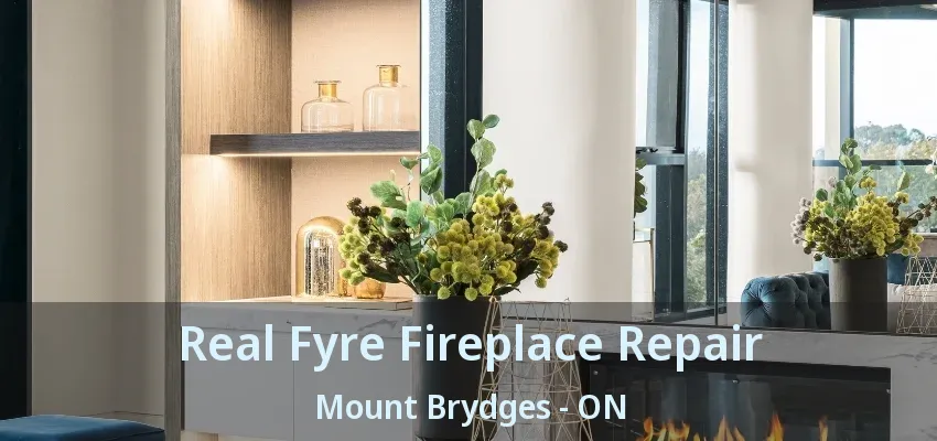 Real Fyre Fireplace Repair Mount Brydges - ON Real Fyre Fireplace Repair Mount Brydges - ON