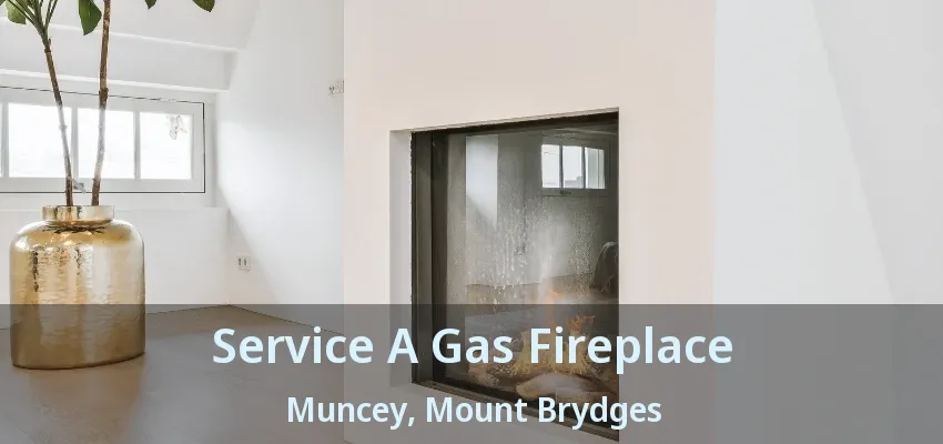 Service A Gas Fireplace Muncey, Mount Brydges - ON Service A Gas Fireplace Muncey, Mount Brydges - ON