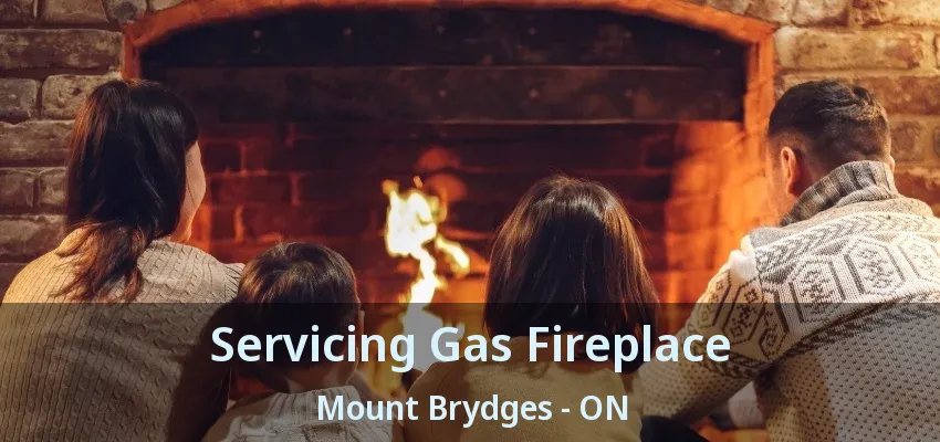 Servicing Gas Fireplace Mount Brydges - ON