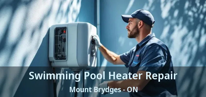Swimming Pool Heater Repair Mount Brydges - ON