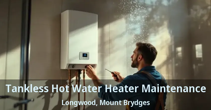 Tankless Hot Water Heater Maintenance Longwood, Mount Brydges - ON Tankless Hot Water Heater Maintenance Longwood, Mount Brydges - ON