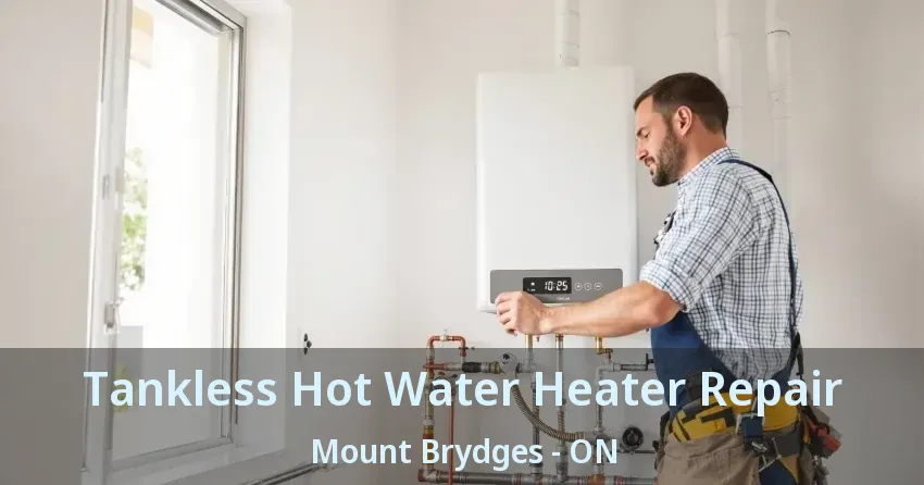 Tankless Hot Water Heater Repair Mount Brydges - ON
