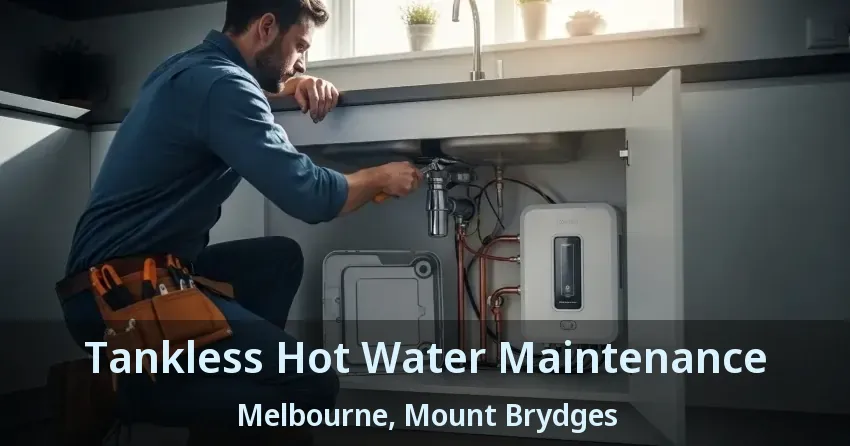 Tankless Hot Water Maintenance Melbourne, Mount Brydges - ON