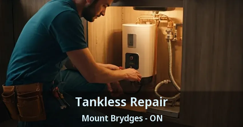 Tankless Repair Mount Brydges - ON Tankless Repair Mount Brydges - ON