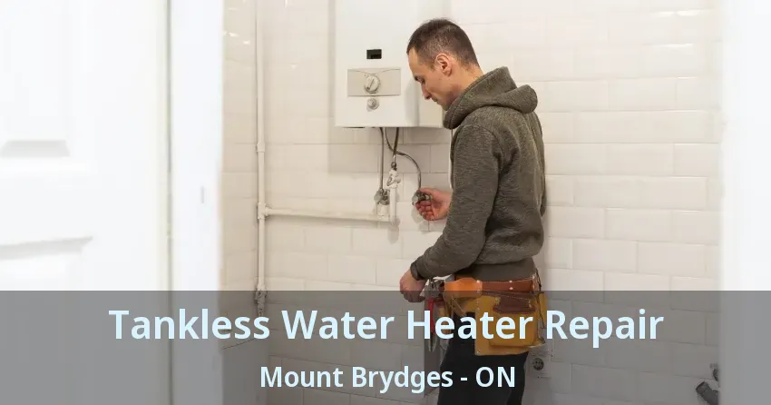 Tankless Water Heater Repair Mount Brydges - ON Tankless Water Heater Repair Mount Brydges - ON