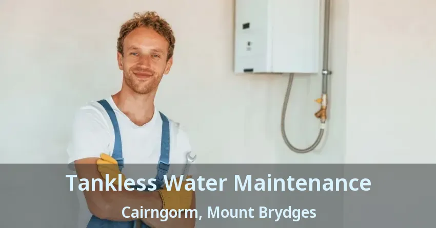 Tankless Water Maintenance Cairngorm, Mount Brydges - ON