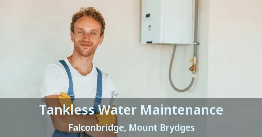 Tankless Water Maintenance Falconbridge, Mount Brydges - ON