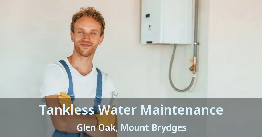 Tankless Water Maintenance Glen Oak, Mount Brydges - ON