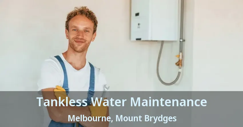 Tankless Water Maintenance Melbourne, Mount Brydges - ON