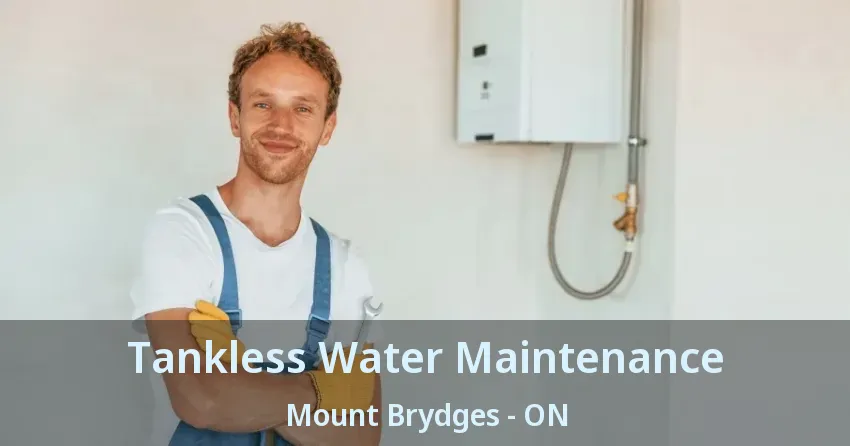 Tankless Water Maintenance Mount Brydges - ON