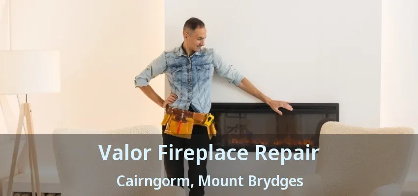 Valor Fireplace Repair Cairngorm, Mount Brydges - ON