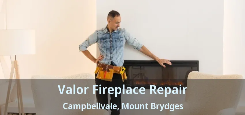 Valor Fireplace Repair Campbellvale, Mount Brydges - ON