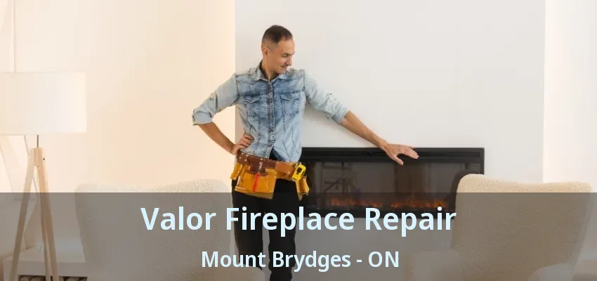 Valor Fireplace Repair Mount Brydges - ON