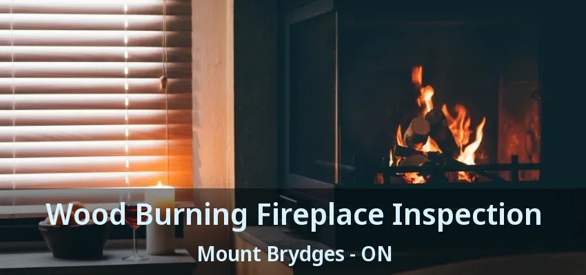 Wood Burning Fireplace Inspection Mount Brydges - ON Wood Burning Fireplace Inspection Mount Brydges - ON