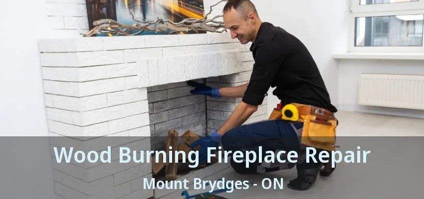 Wood Burning Fireplace Repair Mount Brydges - ON Wood Burning Fireplace Repair Mount Brydges - ON